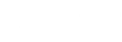 Pixels Splash estudio creativo, diseño gráfico, desarrollo de páginas web y mercadotecnia Digital